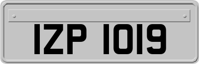 IZP1019