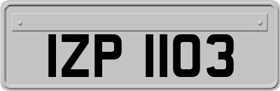 IZP1103