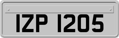 IZP1205