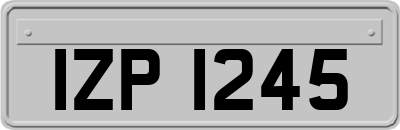 IZP1245