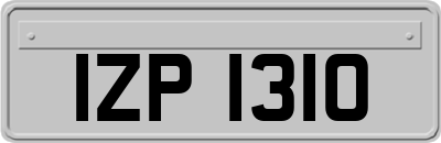 IZP1310