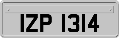 IZP1314