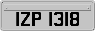 IZP1318