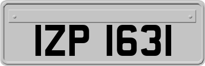 IZP1631