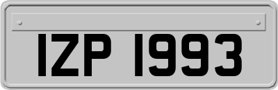 IZP1993
