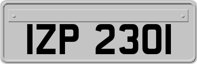 IZP2301