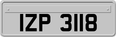 IZP3118