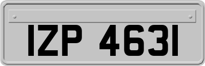 IZP4631