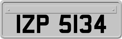 IZP5134