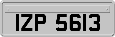 IZP5613