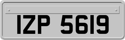 IZP5619