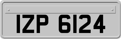 IZP6124