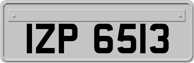 IZP6513