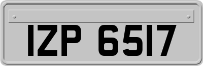 IZP6517