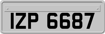 IZP6687