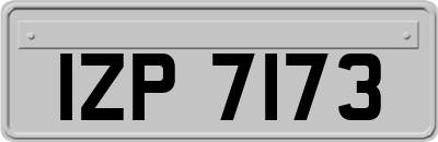 IZP7173