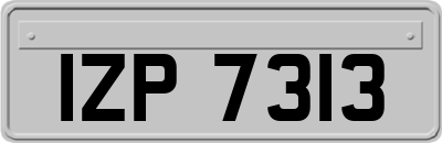 IZP7313