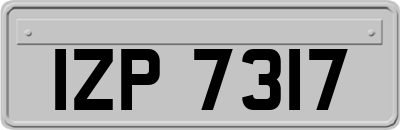 IZP7317