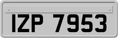 IZP7953