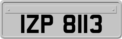 IZP8113