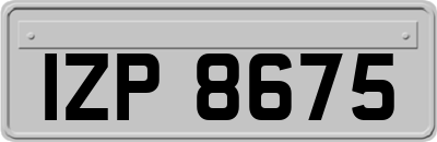 IZP8675