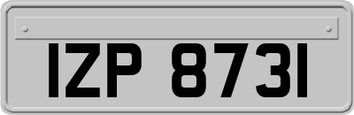 IZP8731