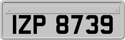 IZP8739