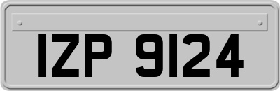 IZP9124