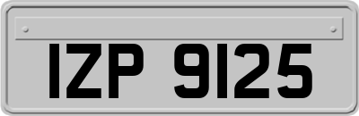 IZP9125