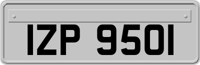 IZP9501