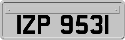 IZP9531