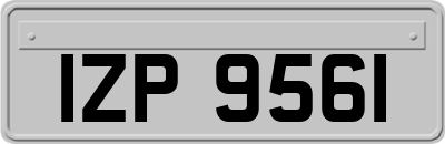 IZP9561
