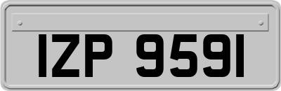 IZP9591