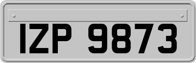 IZP9873