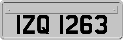 IZQ1263
