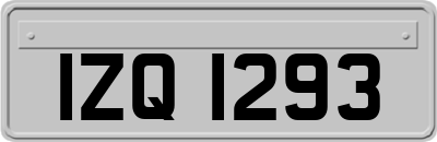 IZQ1293