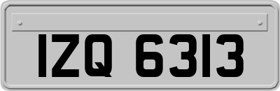 IZQ6313
