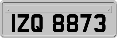 IZQ8873
