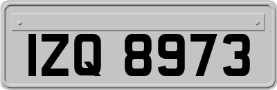 IZQ8973