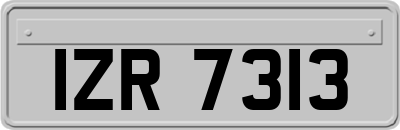 IZR7313