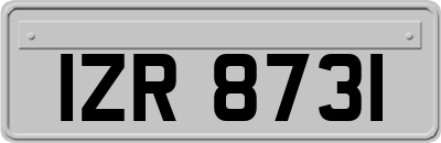 IZR8731