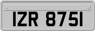 IZR8751