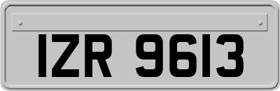 IZR9613