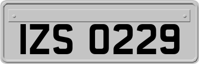 IZS0229