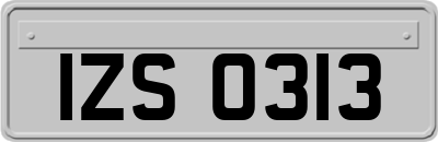 IZS0313