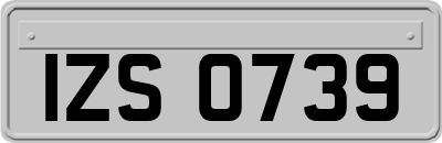 IZS0739