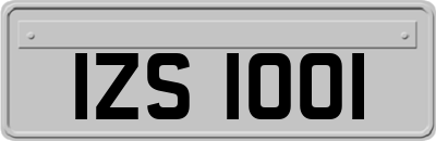 IZS1001