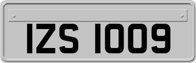IZS1009