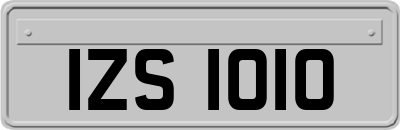 IZS1010