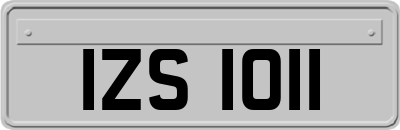 IZS1011